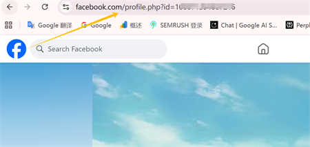 facebook profile link Facebook profil link